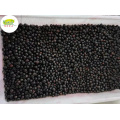 Bulk wholesale distrite supplier IQF Frozen blackcurrant